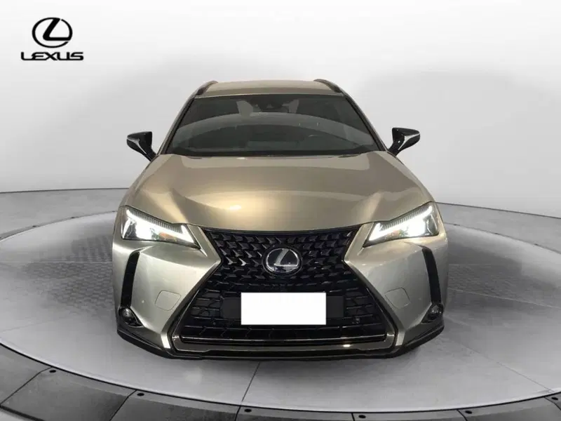Lexus UX nuova a Torino (2)