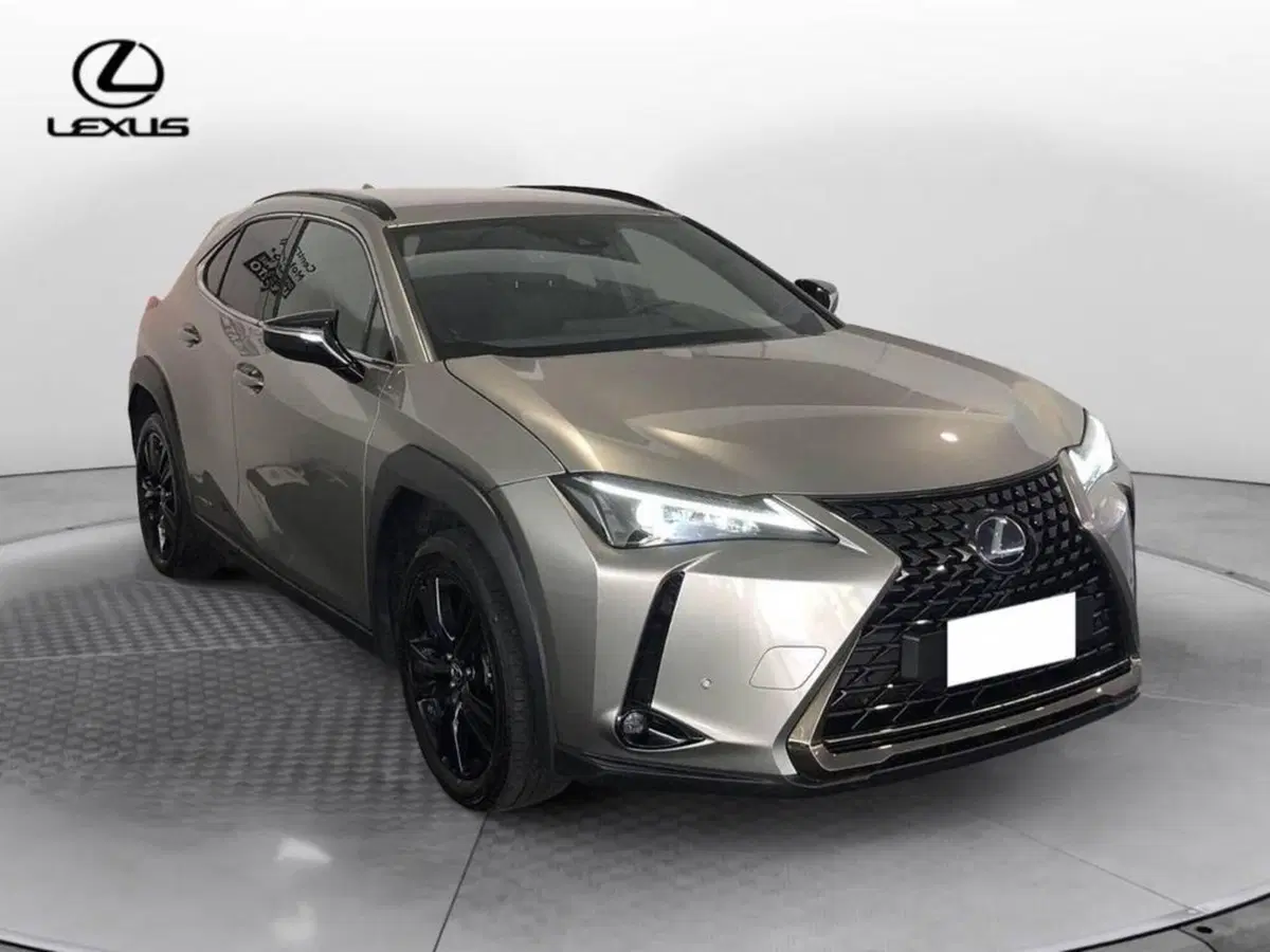Lexus UX nuova a Torino (3)