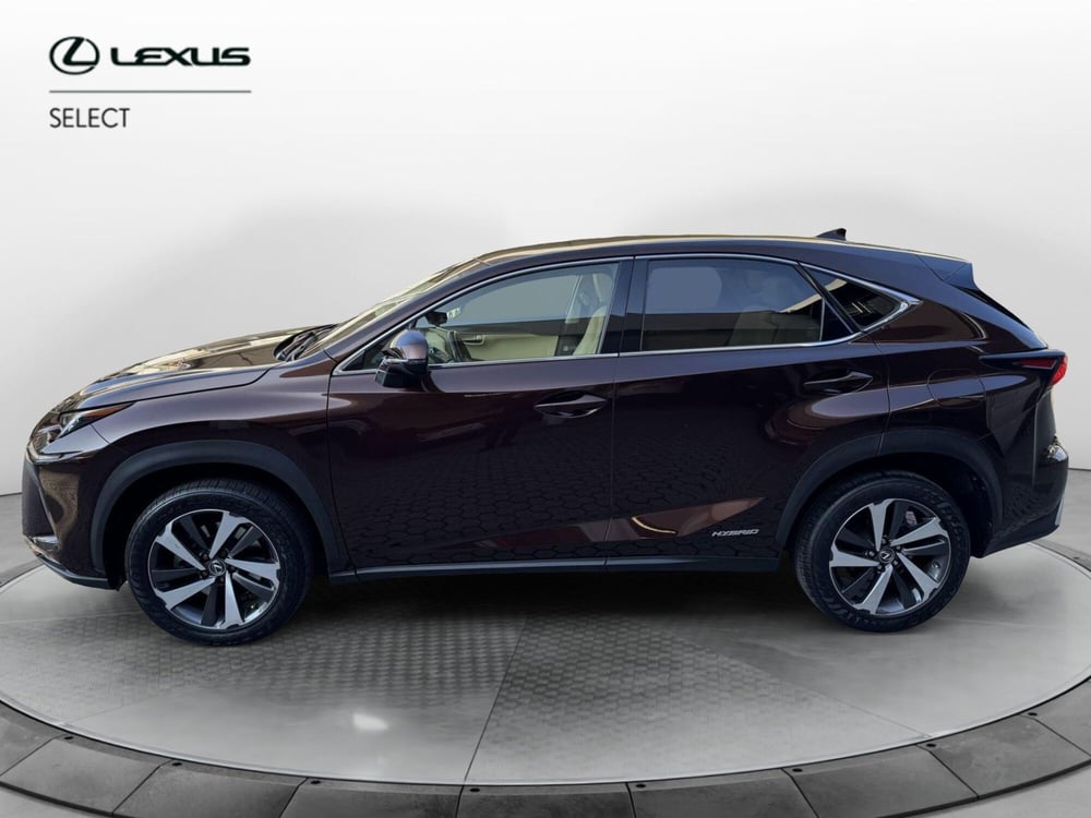 Lexus NX usata a Como (3)