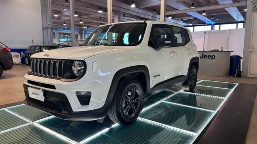 Jeep Renegade usata a Reggio Emilia (3)