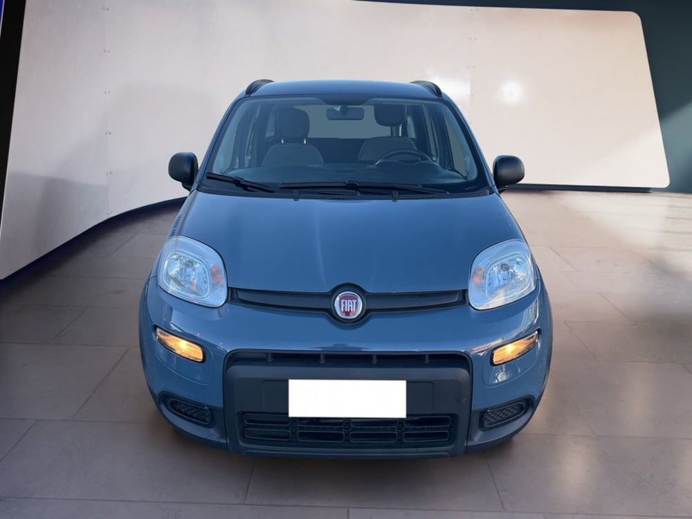 Fiat Panda usata a Torino