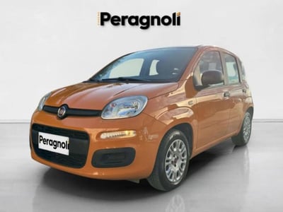 Fiat Panda 1.2 Lounge  del 2017 usata a Firenze