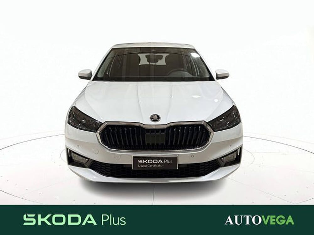 Skoda Fabia usata a Vicenza (2)