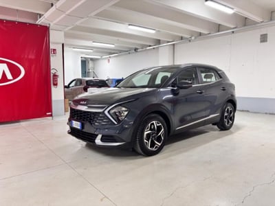 Kia Sportage 1.6 CRDi MHEV Business del 2022 usata a Torino