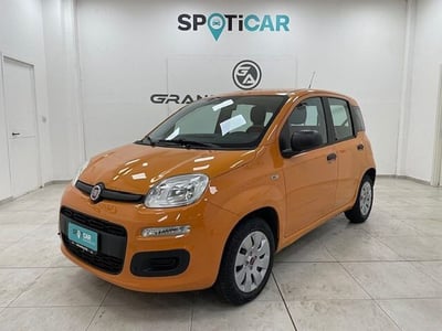 Fiat Panda 1.2 Pop  del 2017 usata a Alessandria