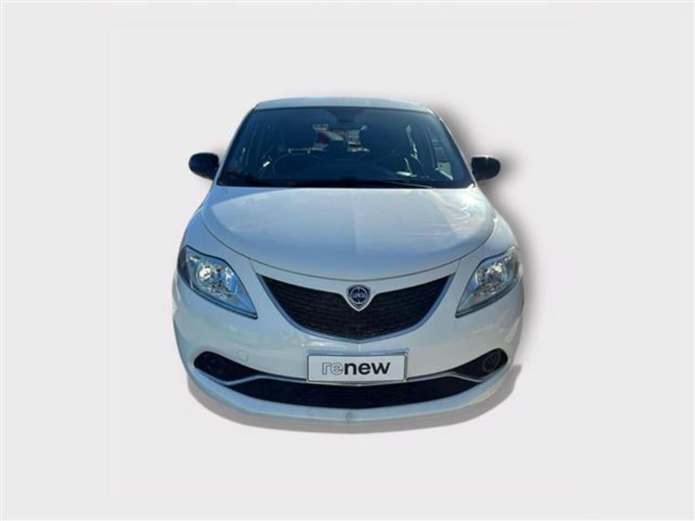 Lancia Ypsilon usata a Livorno (8)