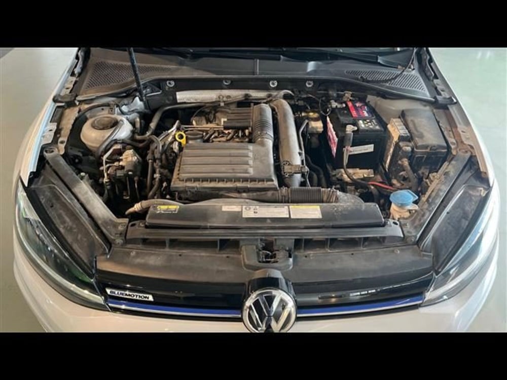 Volkswagen Golf usata a Firenze (14)