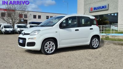 Fiat Panda 1.2 Easy  del 2018 usata a Oristano