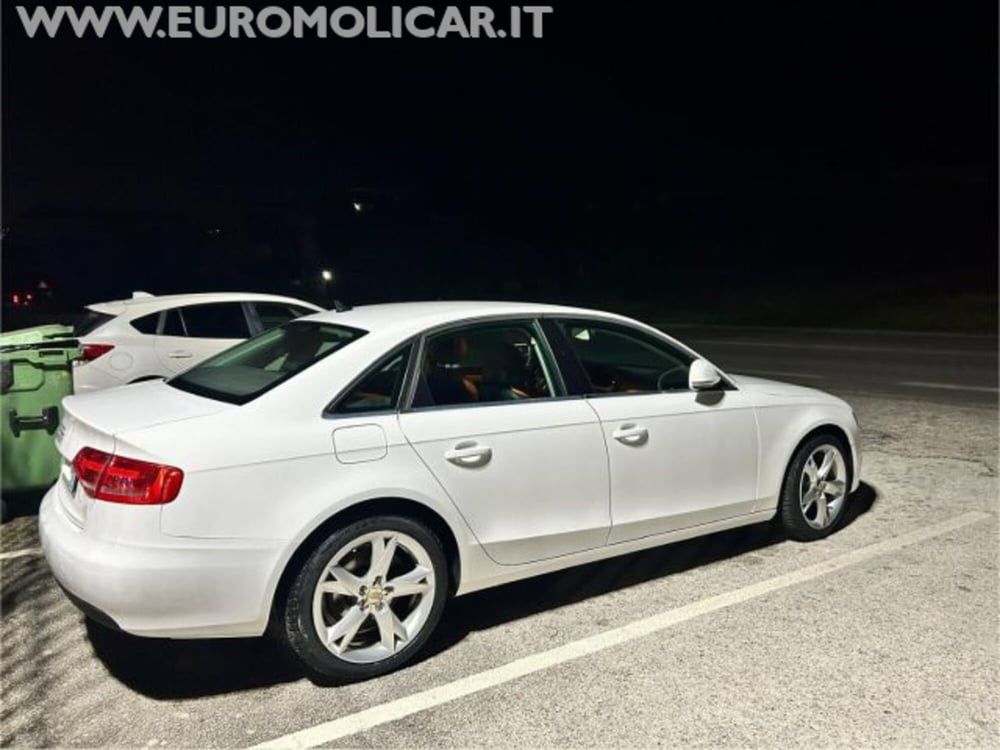 Audi A4 usata a Campobasso (5)