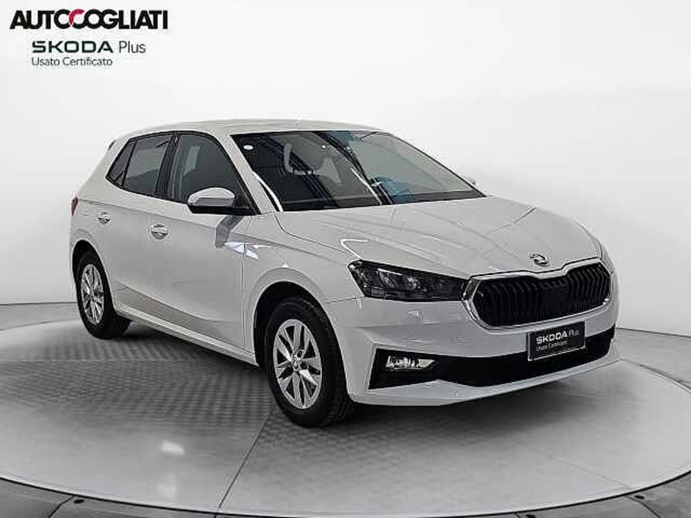 Skoda Fabia usata a Lecco (3)