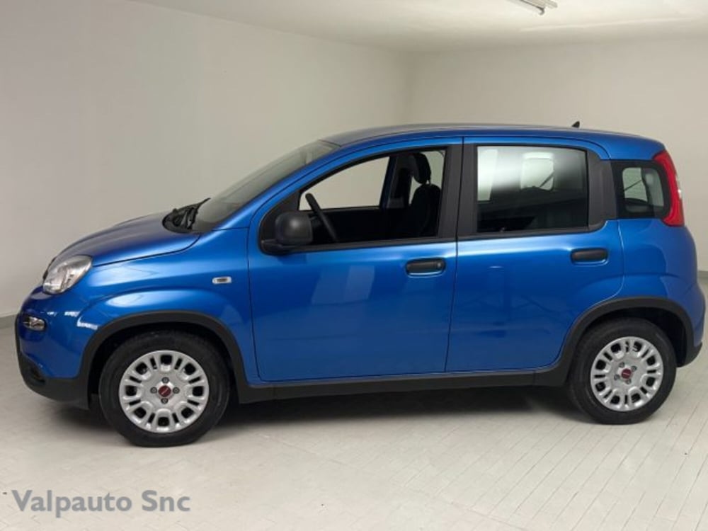 Fiat Panda nuova a Verona (2)