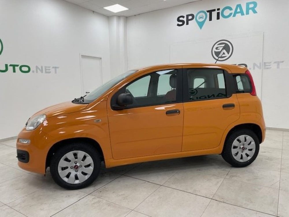 Fiat Panda usata a Alessandria (2)