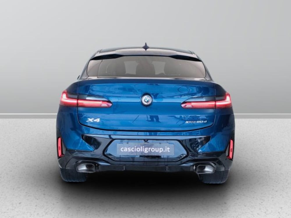 BMW X4 usata a Teramo (4)