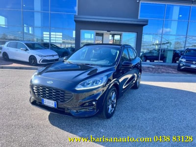 Ford Kuga 2.0 EcoBlue 120 CV aut. 2WD ST-Line X del 2023 usata a Pieve di Soligo