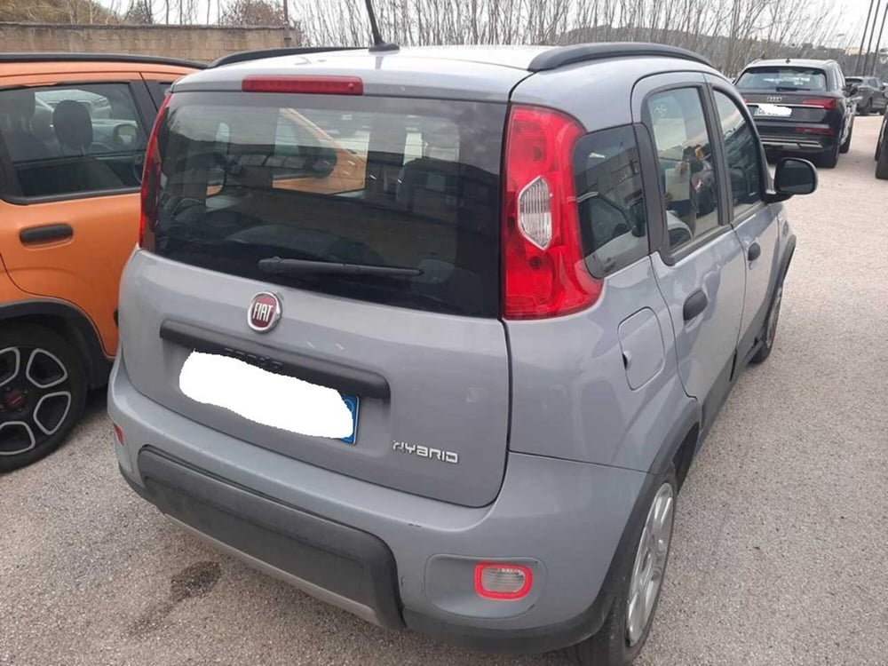 Fiat Panda usata a Arezzo (3)