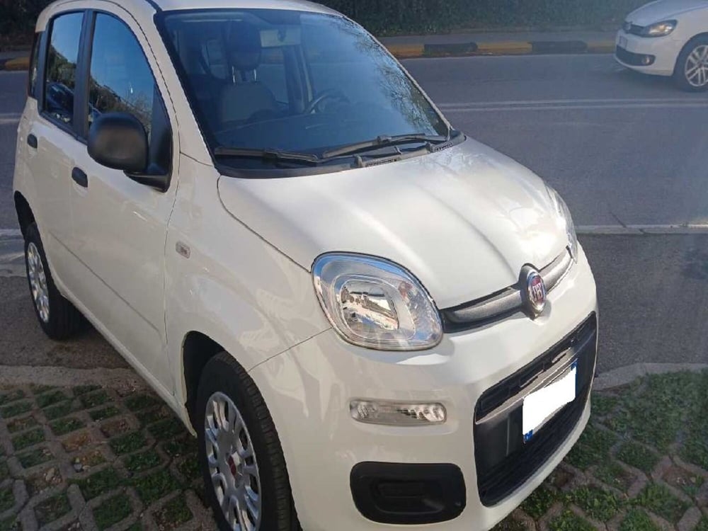 Fiat Panda usata a Arezzo