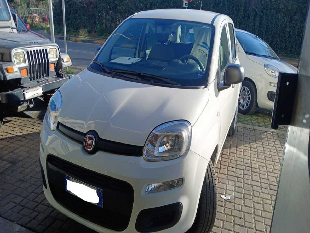 Fiat Panda usata a Arezzo