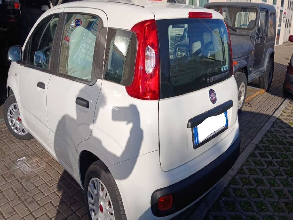 Fiat Panda usata a Arezzo (3)