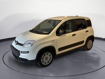 Fiat Panda 1.2 Easy Van 4 posti  nuova a Brindisi