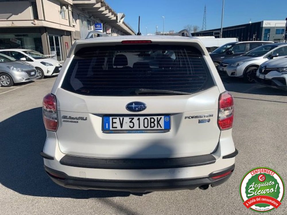 Subaru Forester usata a Lucca (8)