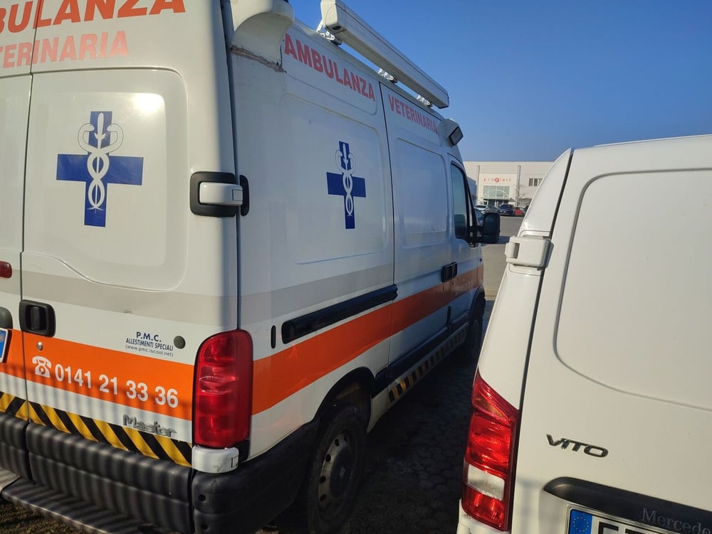 Renault Master Furgone usata a Alessandria (3)