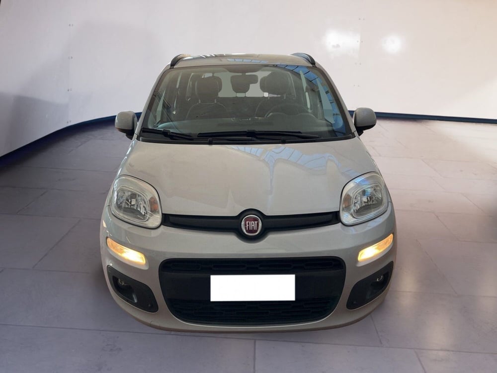 Fiat Panda usata a Torino