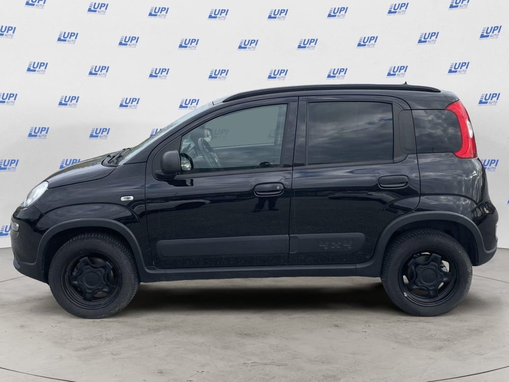 Fiat Panda usata a Pistoia (2)