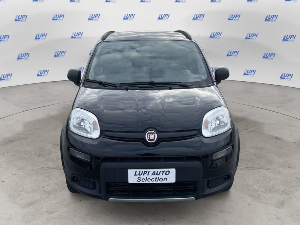 Fiat Panda usata a Pistoia (9)