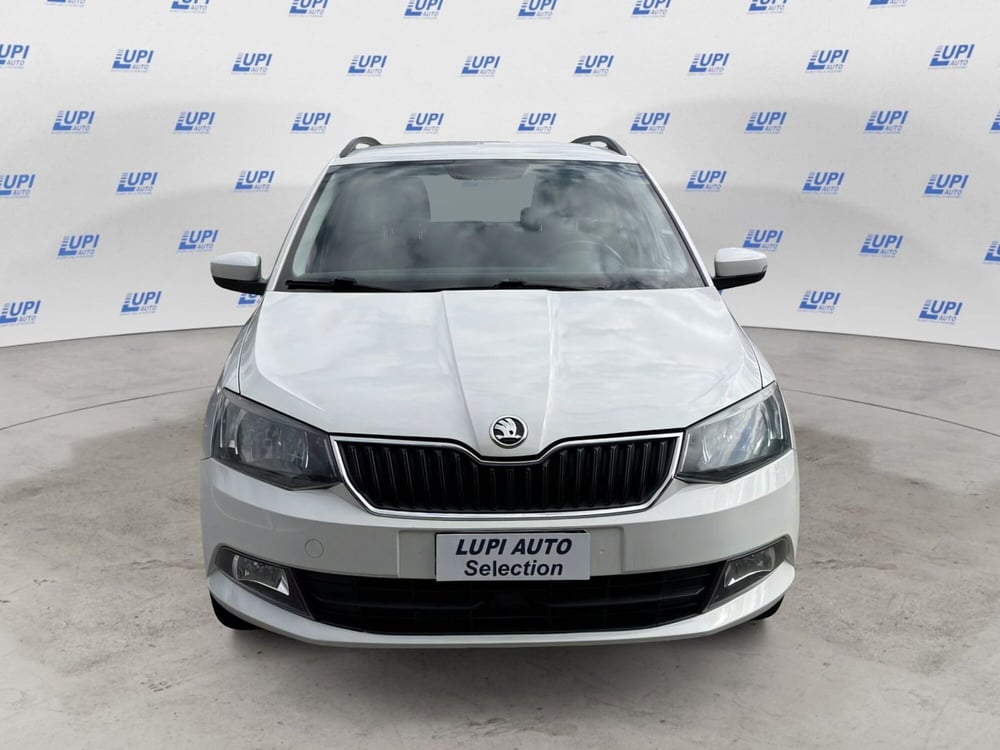 Skoda Fabia Station Wagon usata a Pistoia (2)