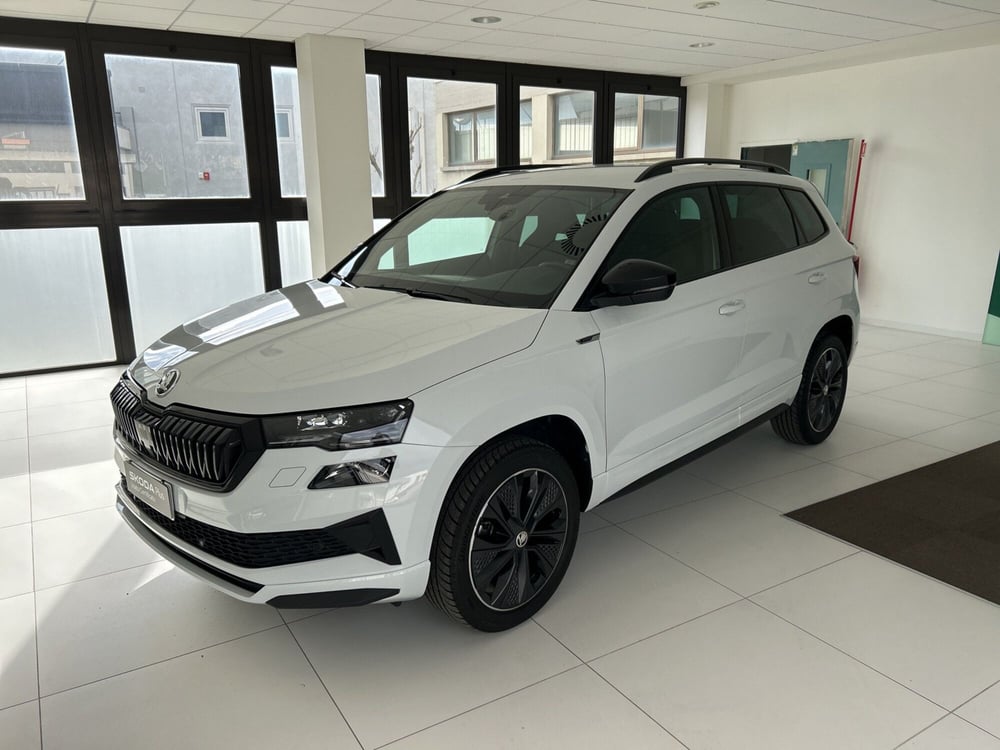 Skoda Karoq usata a Arezzo