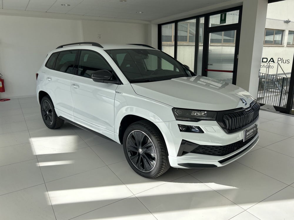 Skoda Karoq usata a Arezzo (8)