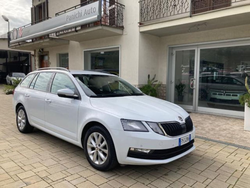 Skoda Octavia Station Wagon usata a Arezzo (4)