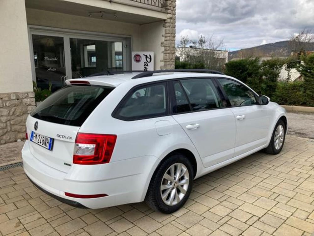 Skoda Octavia Station Wagon usata a Arezzo (5)