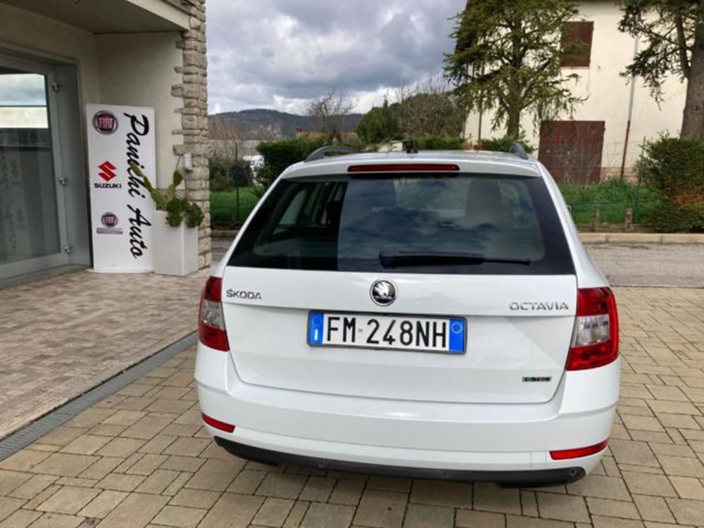 Skoda Octavia Station Wagon usata a Arezzo (6)