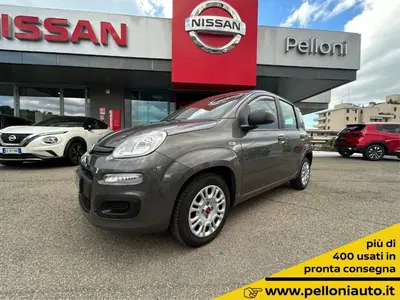 Fiat Panda 1.2 EasyPower del 2021 usata a Modena