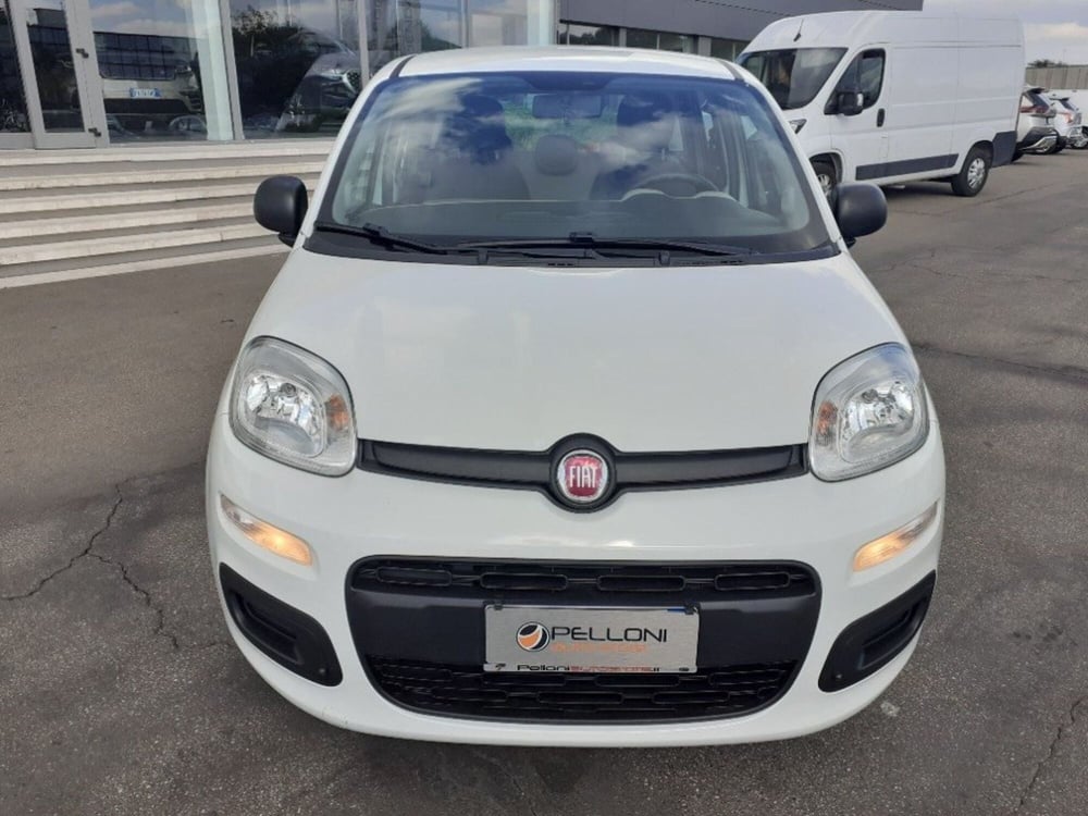 Fiat Panda usata a Modena (3)