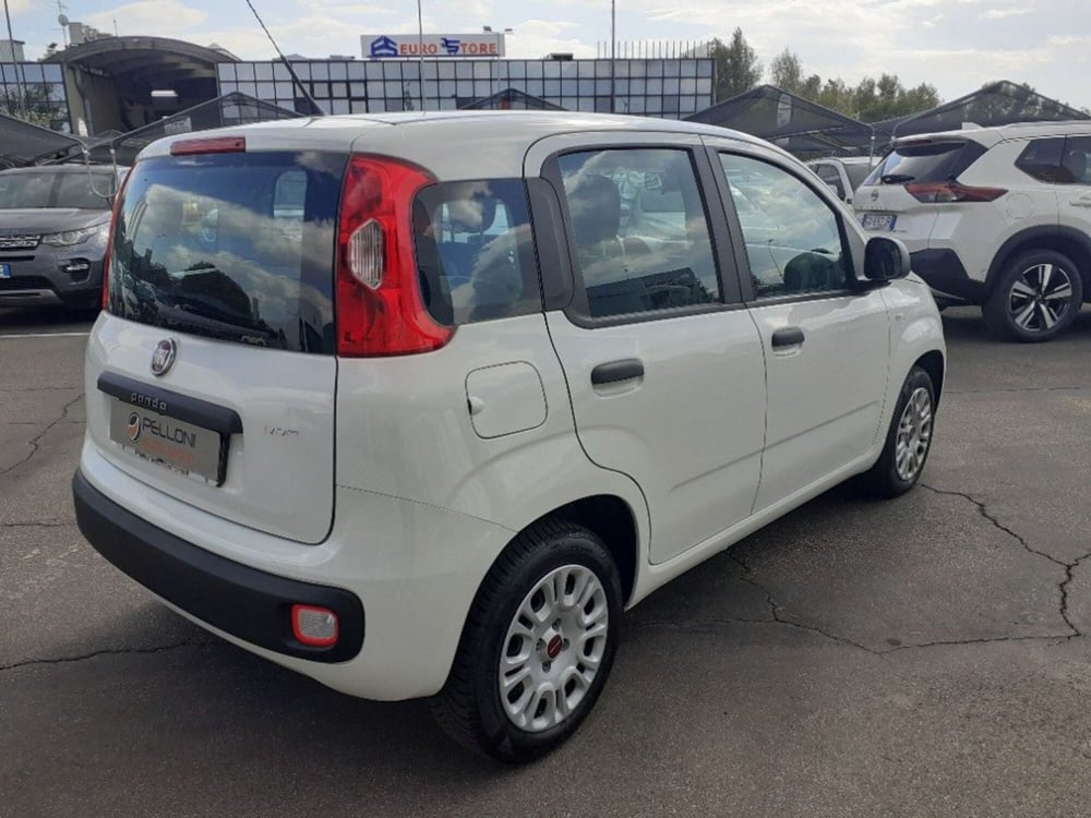 Fiat Panda usata a Modena (5)