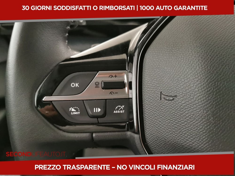 Peugeot 308 SW usata a Chieti (19)