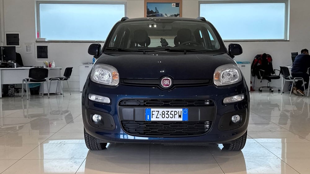 Fiat Panda usata a Viterbo (2)