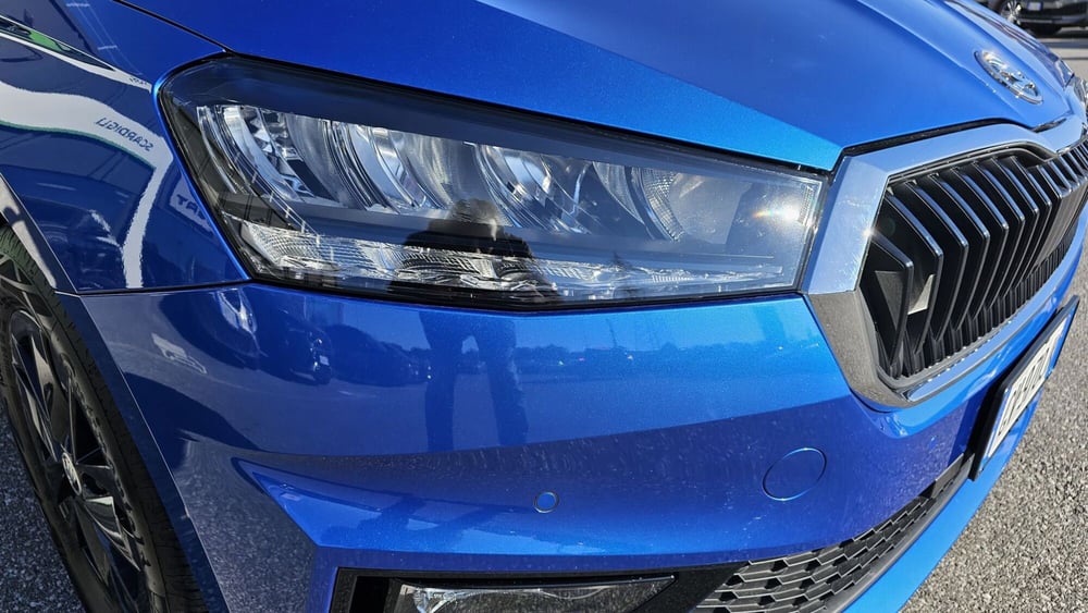 Skoda Fabia usata a Livorno (10)