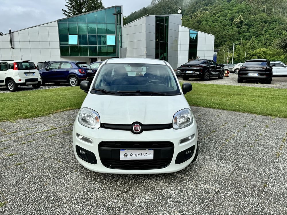 Fiat Panda usata a La Spezia (2)