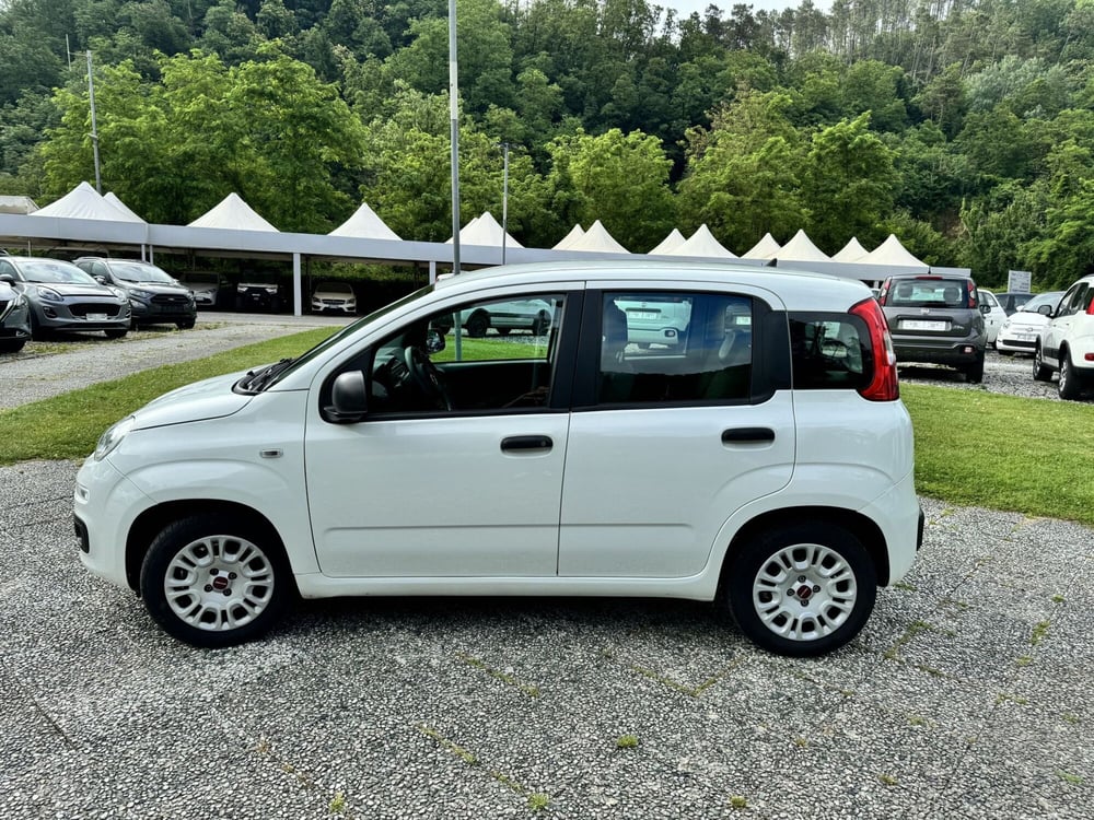 Fiat Panda usata a La Spezia (4)