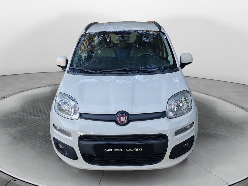 Fiat Panda usata a Bologna (2)