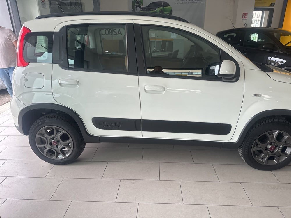 Fiat Panda usata a Benevento (2)