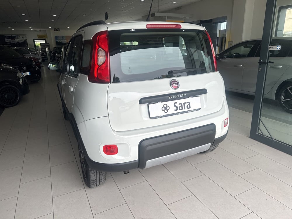 Fiat Panda usata a Benevento (6)