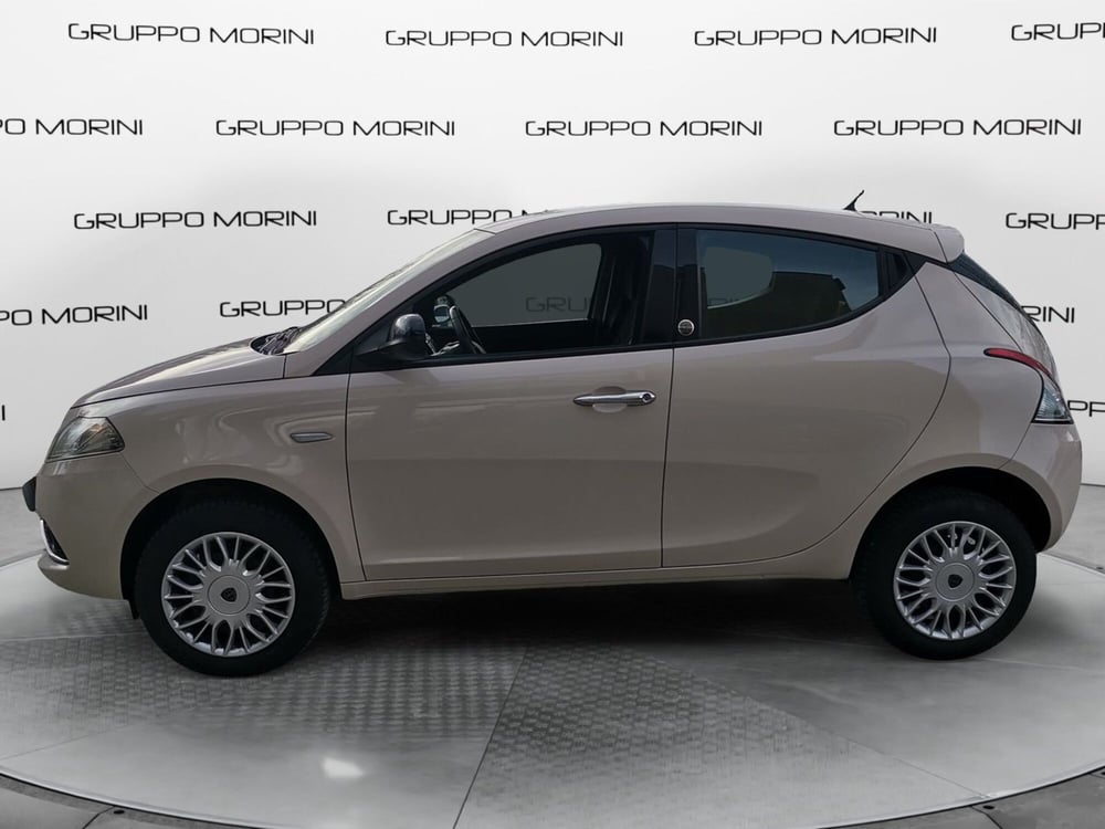 Lancia Ypsilon usata a Forlì-Cesena (3)