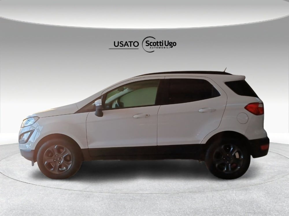 Ford EcoSport usata a Firenze (4)