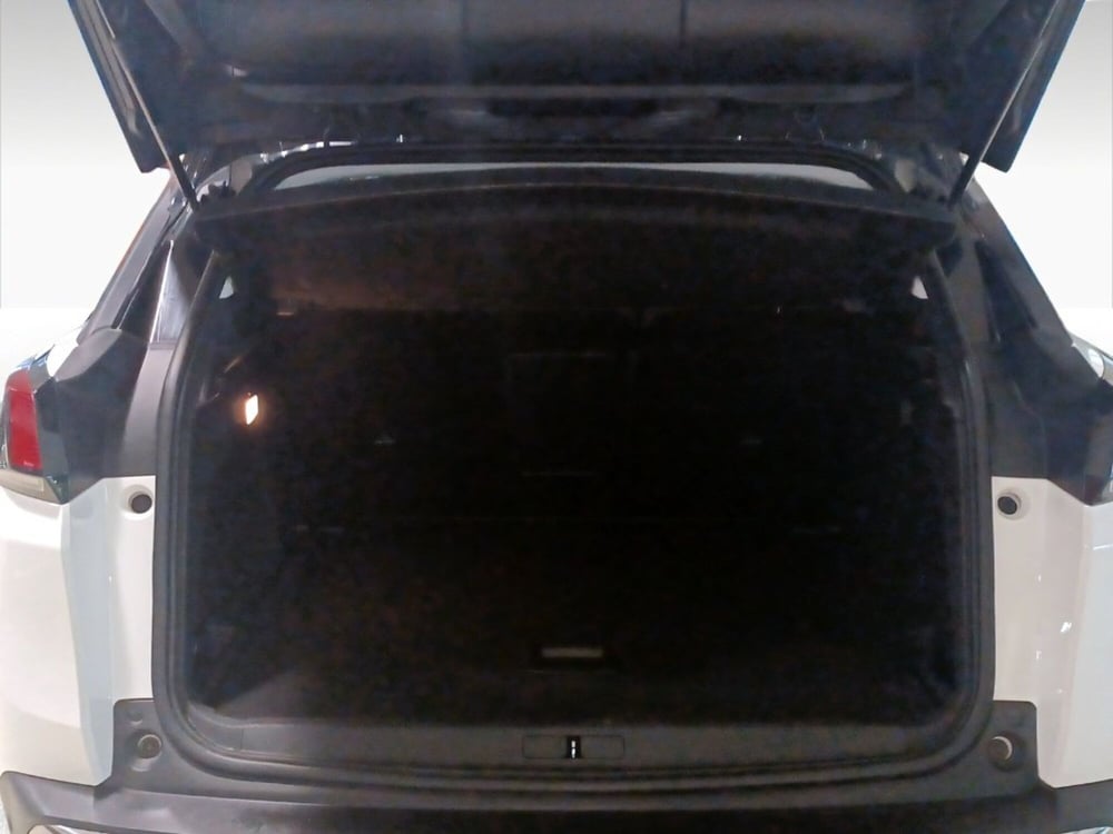 Peugeot 3008 usata a Firenze (18)