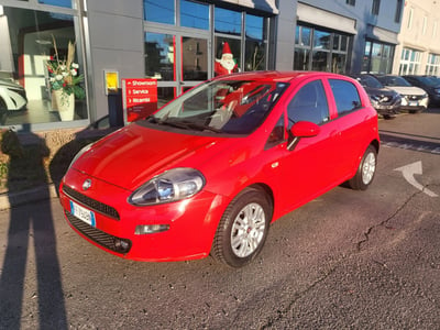 Fiat Punto 1.4 8V 5 porte Easypower Street  del 2016 usata a Collecchio