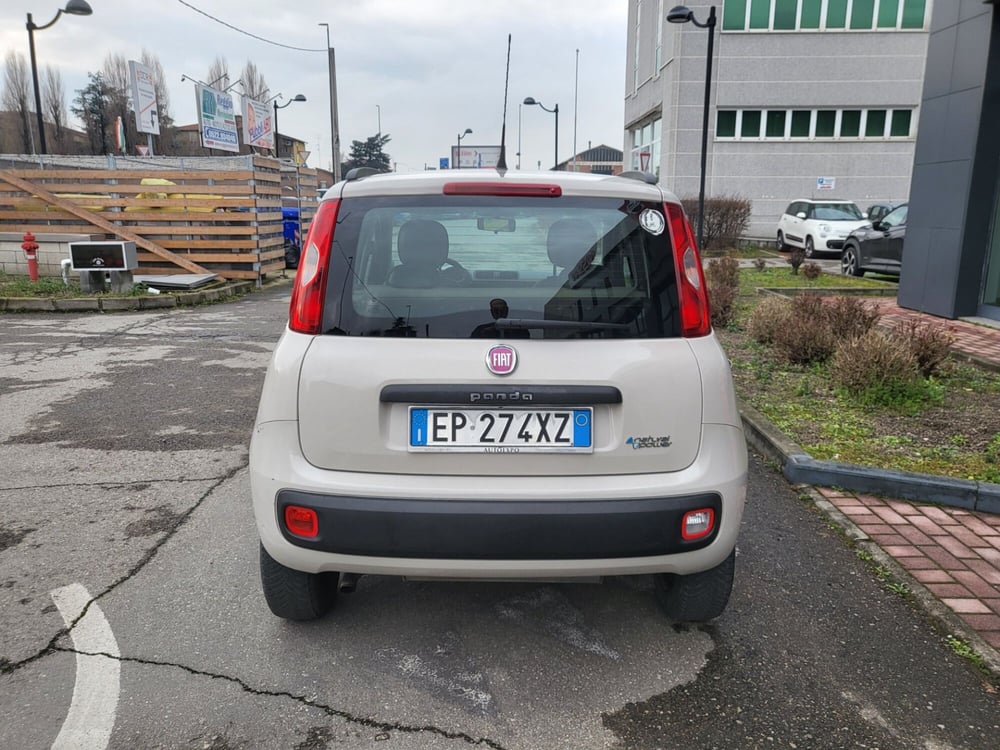 Fiat Panda usata a Parma (5)